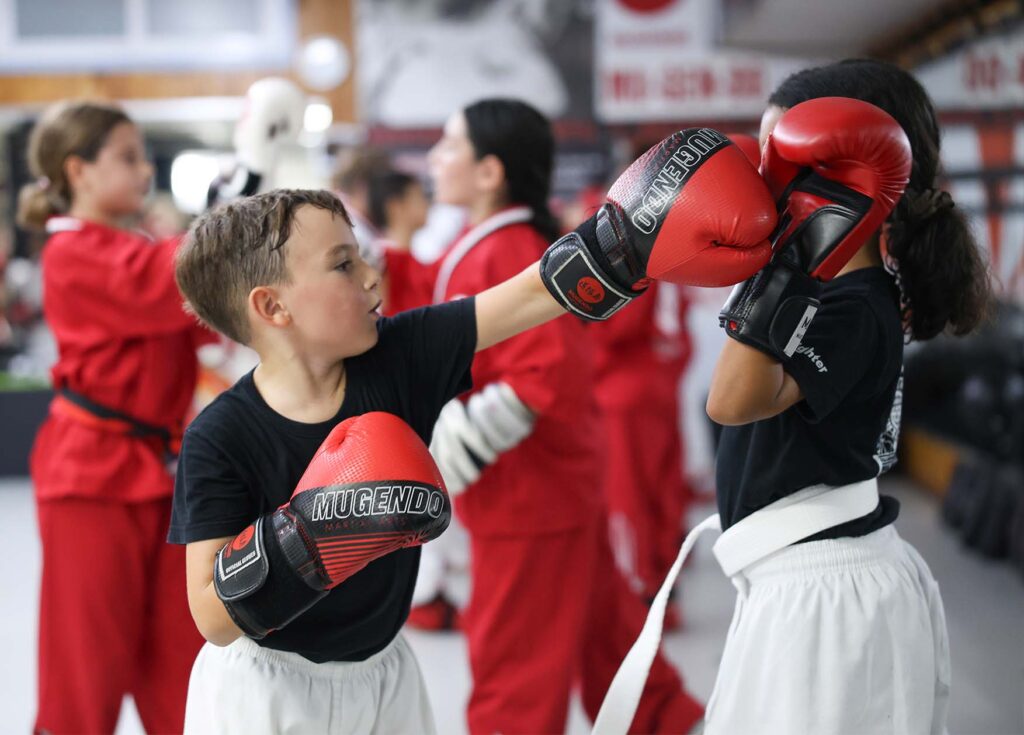 artes marciales sabadell